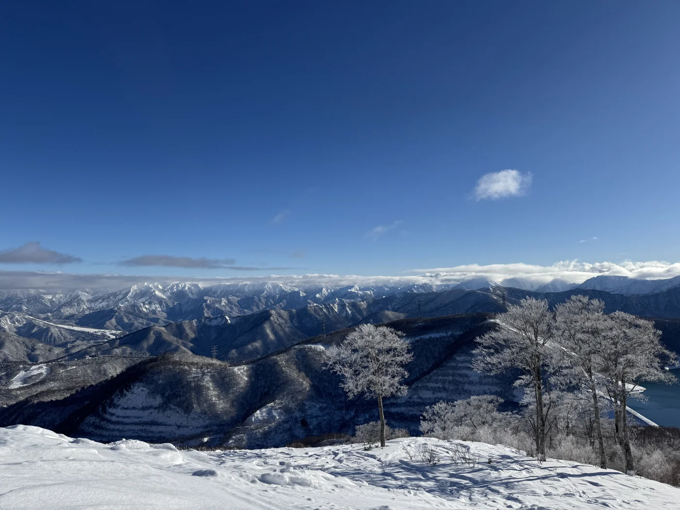神樂雪場的雪坡與樹木,遠方是晴空下連綿的山峰